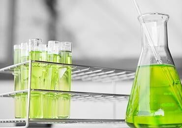 Flinders University: New bio-based materials that can solve pollution problems